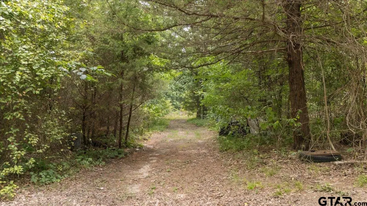 404 Pr 6227, Canton, TX 75103 - #1