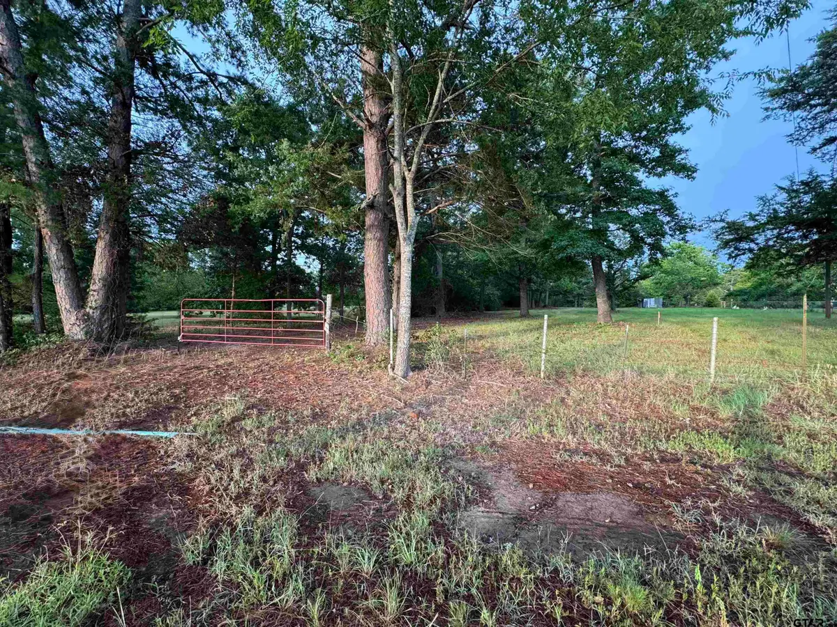 TBD Cr 227, Arp, TX 75750 - #1