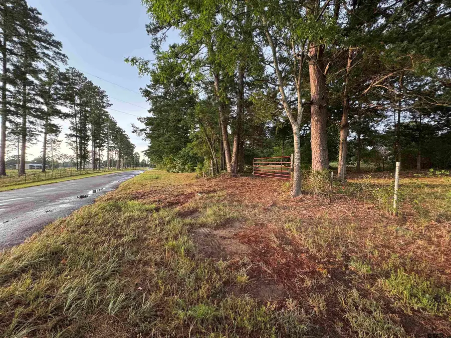 TBD Cr 227, Arp, TX 75750 - #2