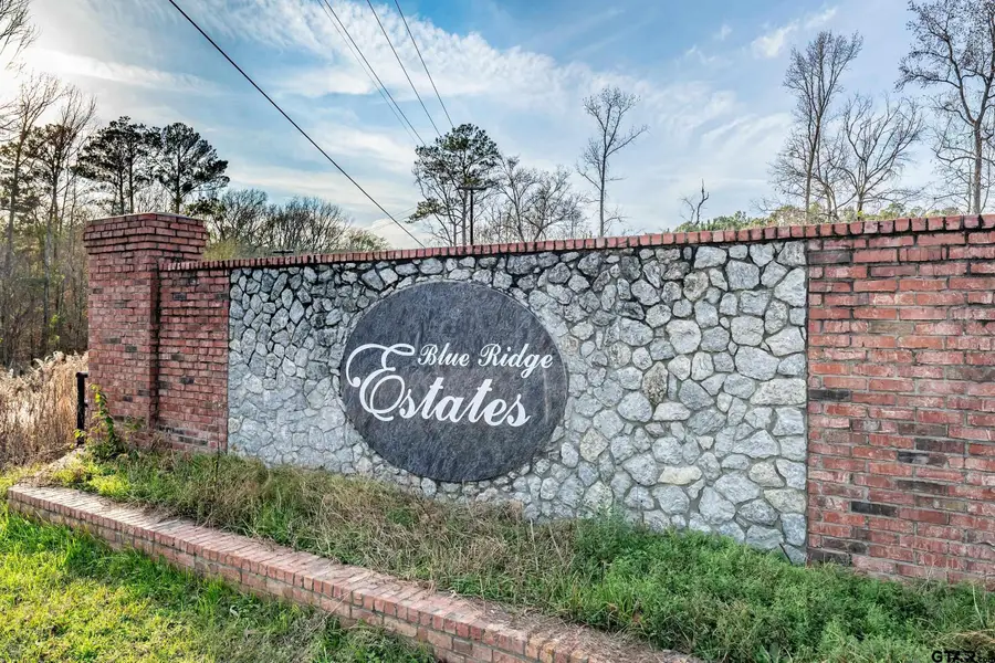 21404 Memory Ln, Bullard, TX 75757 - #2