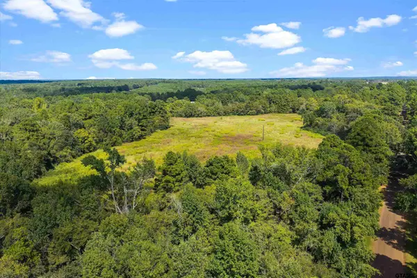 TBD W Cr 4187, Henderson,  75654