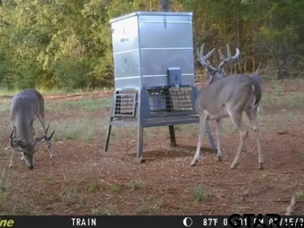 TBD C R 440, Lindale,  75771