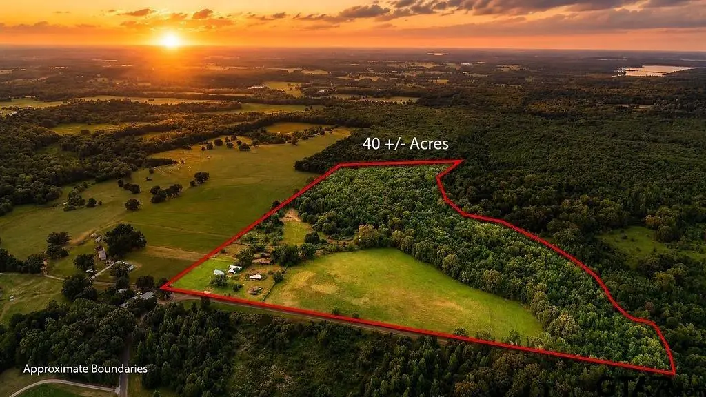 753 County Road 4390, Winnsboro, TX 75494 - #1
