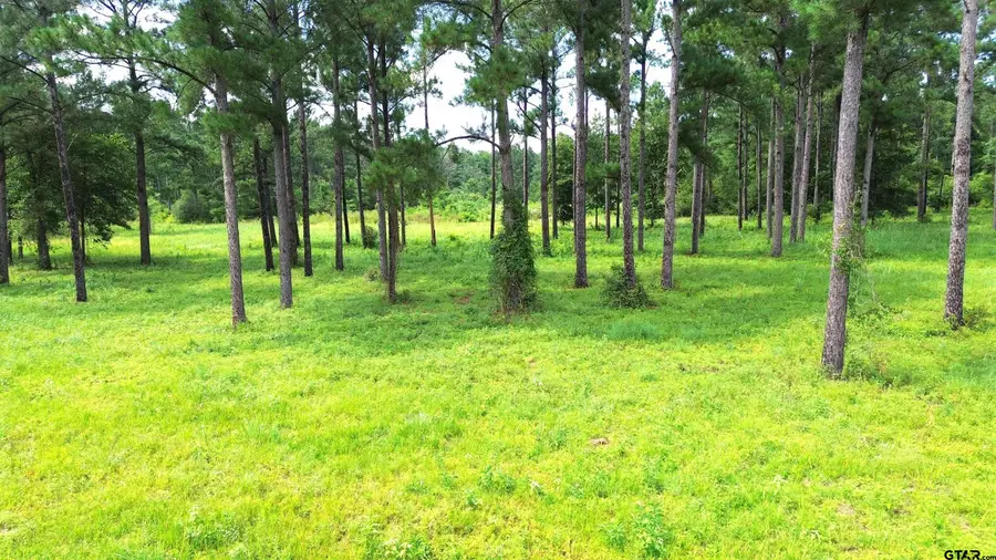 1320 Buckhorn Creek Drive, Crockett, TX 75835 - #3