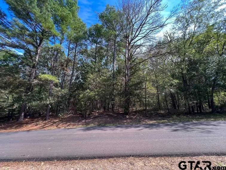Lot 49 Angelina Dr, Mount Vernon, TX 75457 - #1