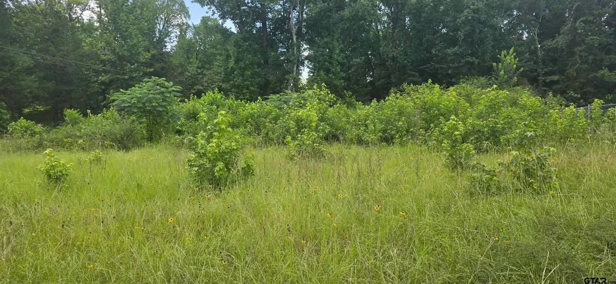 469 Wichita St, Shadybrook, TX 75757 - #1