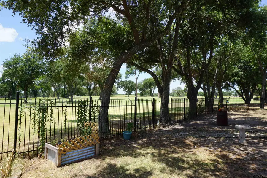 10808 Jeanell Dr, Cedar Creek Lake, TX 75143 - #3