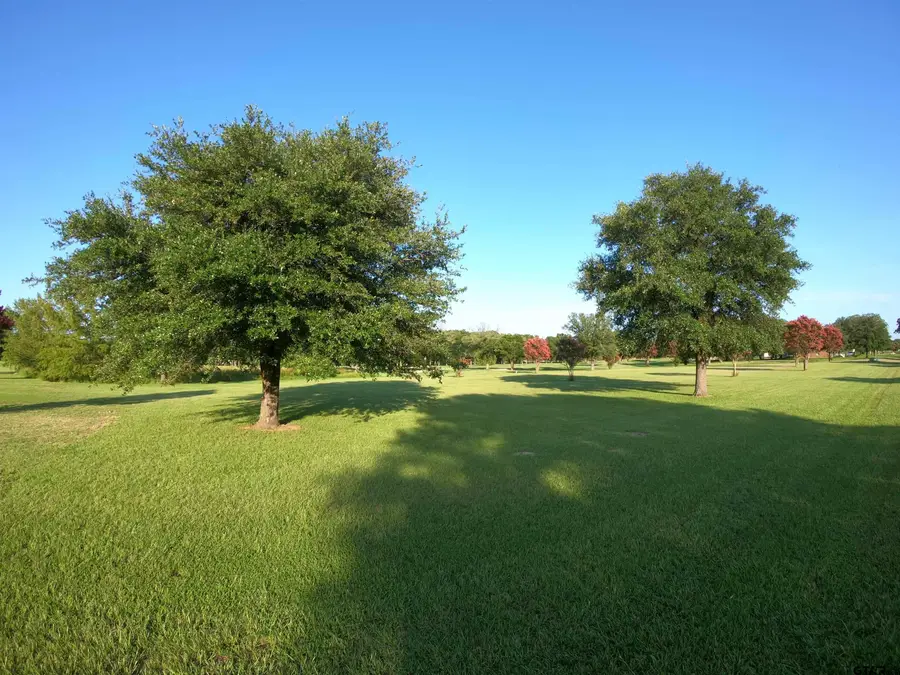 Lot PT31 & 32 Private Road 5884, Emory, TX 75440 - #3