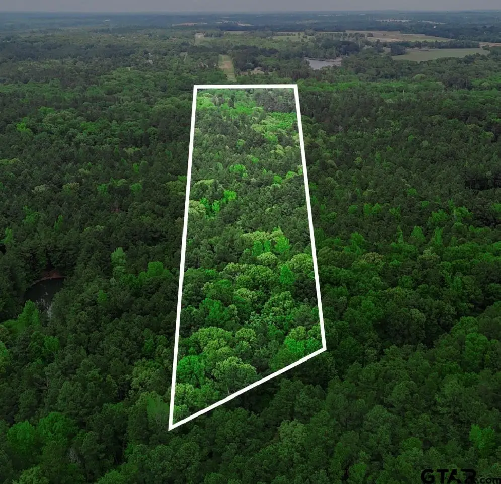 TBD 10 Acres Cr 1113, Tyler, TX 75703 - #1