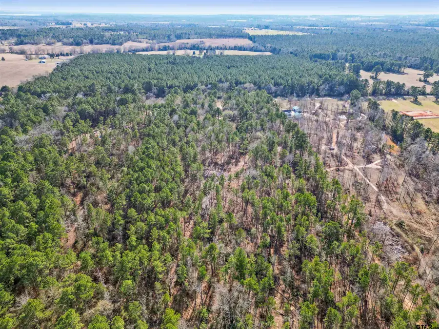 12076 Fm 2274, Troup, TX 75789 - #3