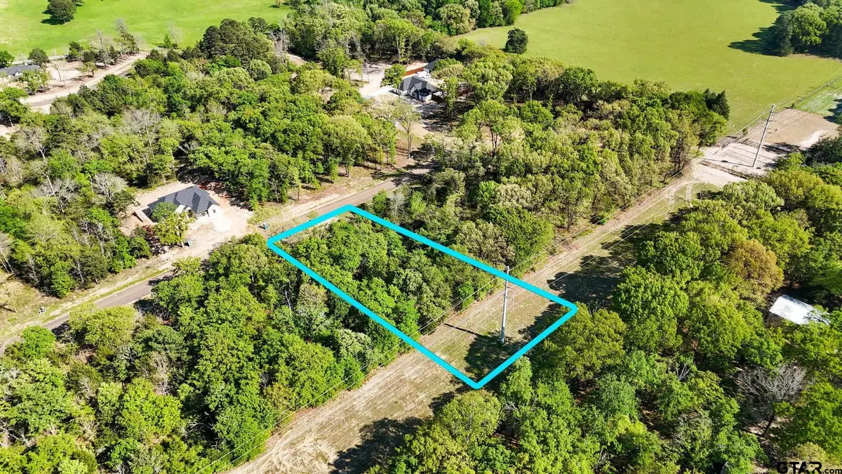 TBD Pr 6305 Lot 61, Mineola, TX 75773 - #1