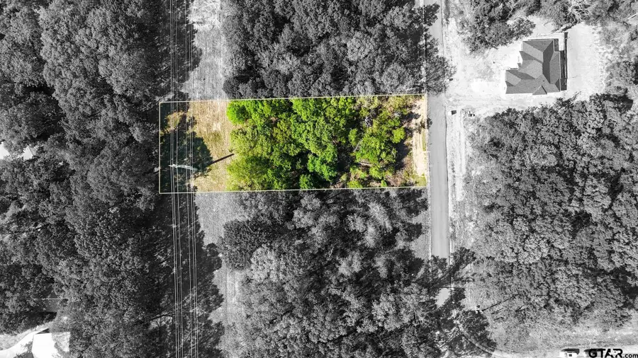 TBD Pr 6305 Lot 61, Mineola, TX 75773 - #2