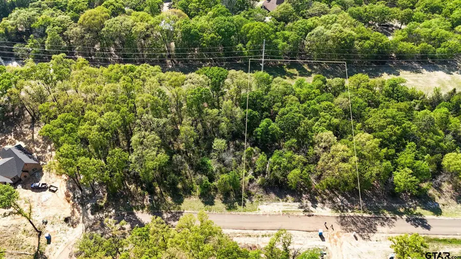 TBD Pr 6305 Lot 61, Mineola, TX 75773 - #3