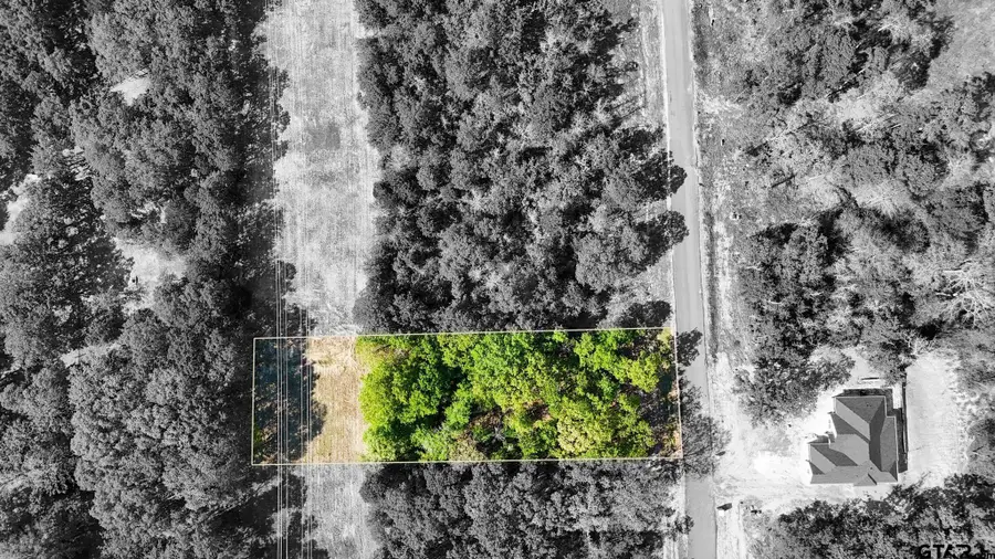 TBD Pr 6305 Lot 62, Mineola, TX 75773 - #2