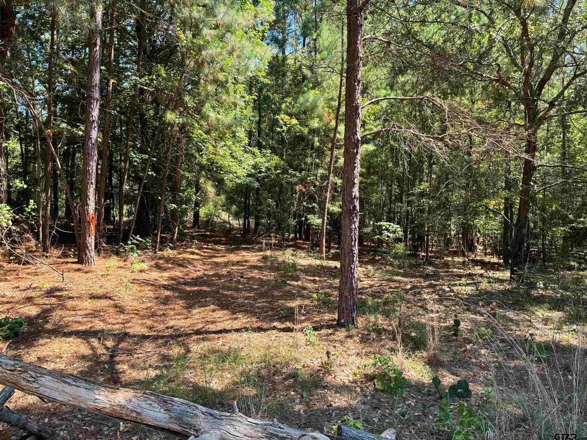 Lot 195 Green Meadow Trail, Holly Lake Ranch, TX 75765 - #1
