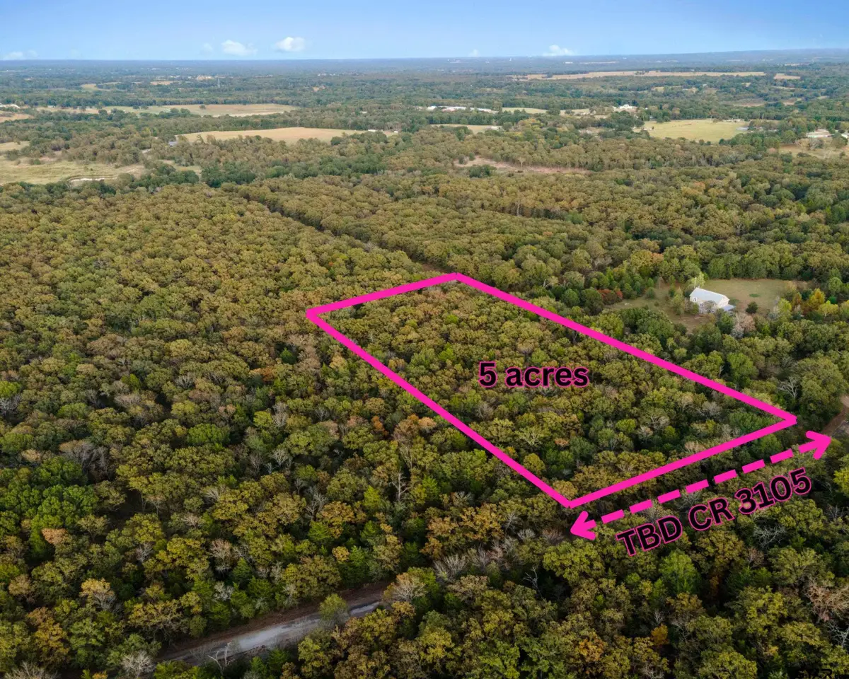 TBD County Road 3105, Edgewood, TX 75117 - #1