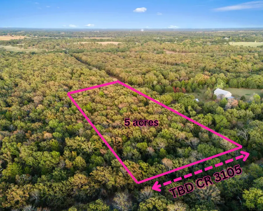 TBD County Road 3105, Edgewood, TX 75117 - #2