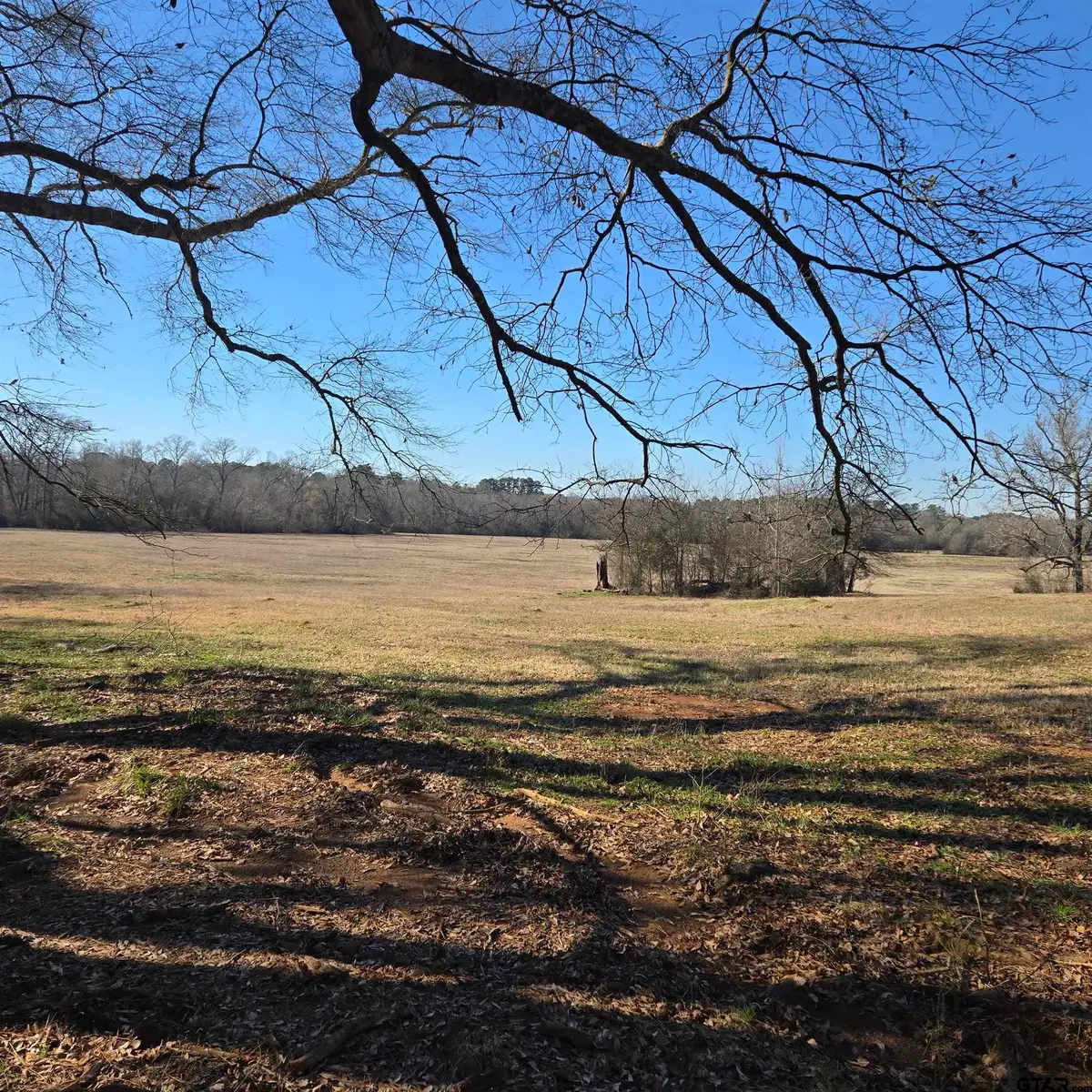 TBD County Road 1106, Flint, TX 75762 - #1