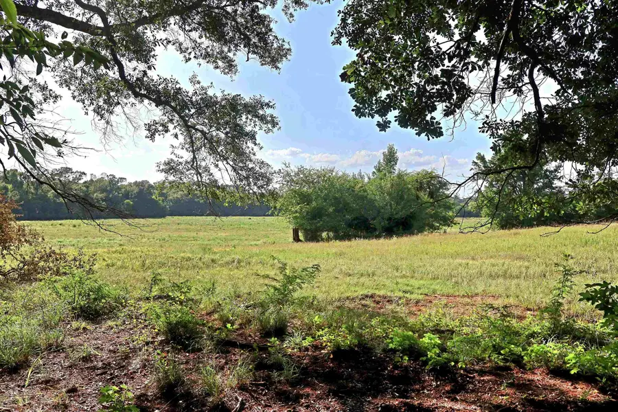TBD County Road 1106, Flint, TX 75762 - #2