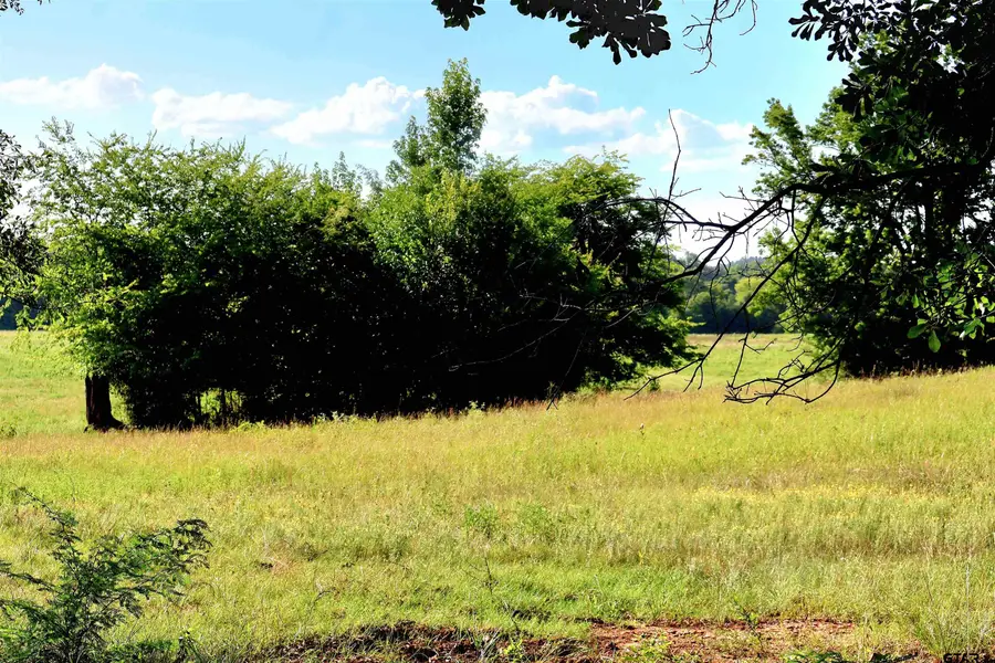 TBD County Road 1106, Flint, TX 75762 - #3