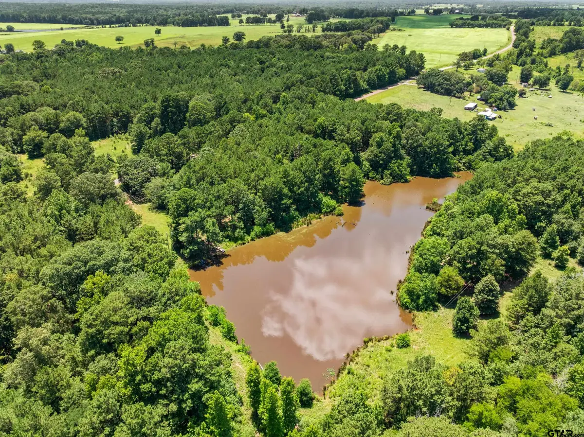 22315 County Road 2110, Troup Arp, TX 75789 - #1