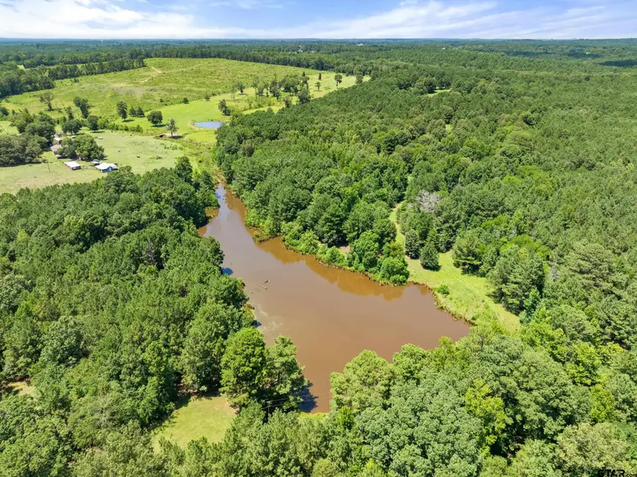 22315 County Road 2110, Troup Arp, TX 75789 - #3