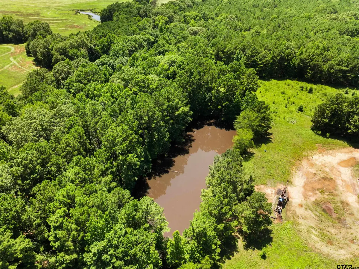 22356 County Road 2110, Troup Arp, TX 75789 - #1