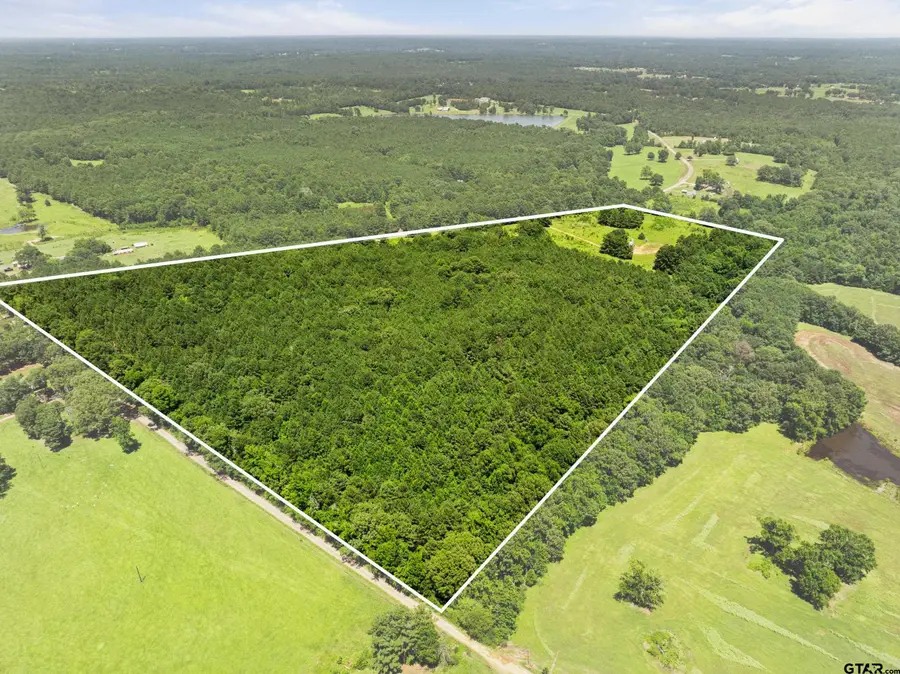 22356 County Road 2110, Troup Arp, TX 75789 - #3