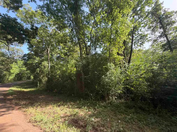 000 Cr 4411 2.69 Acres, Reklaw, TX 75784
