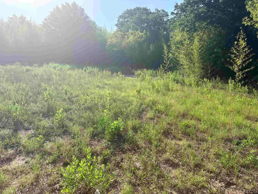 1006 Britton Avenue, Tyler, TX 75701 - #2