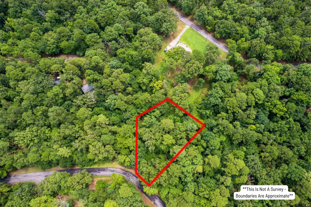 Lot 33 Spring Creek Drive, Mount Vernon, TX 75457 - #1