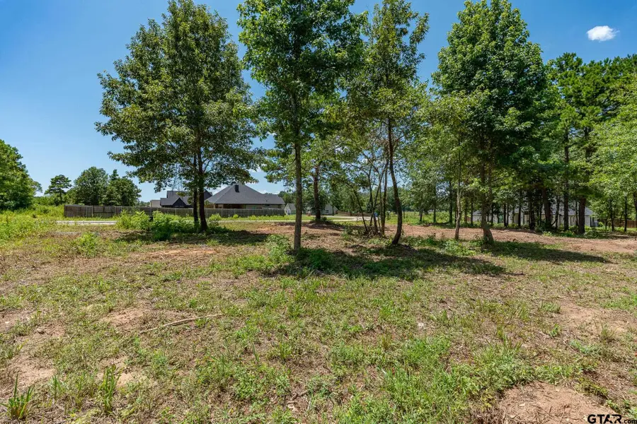 21019 Patriot Circle, Tyler, TX 75703 - #3
