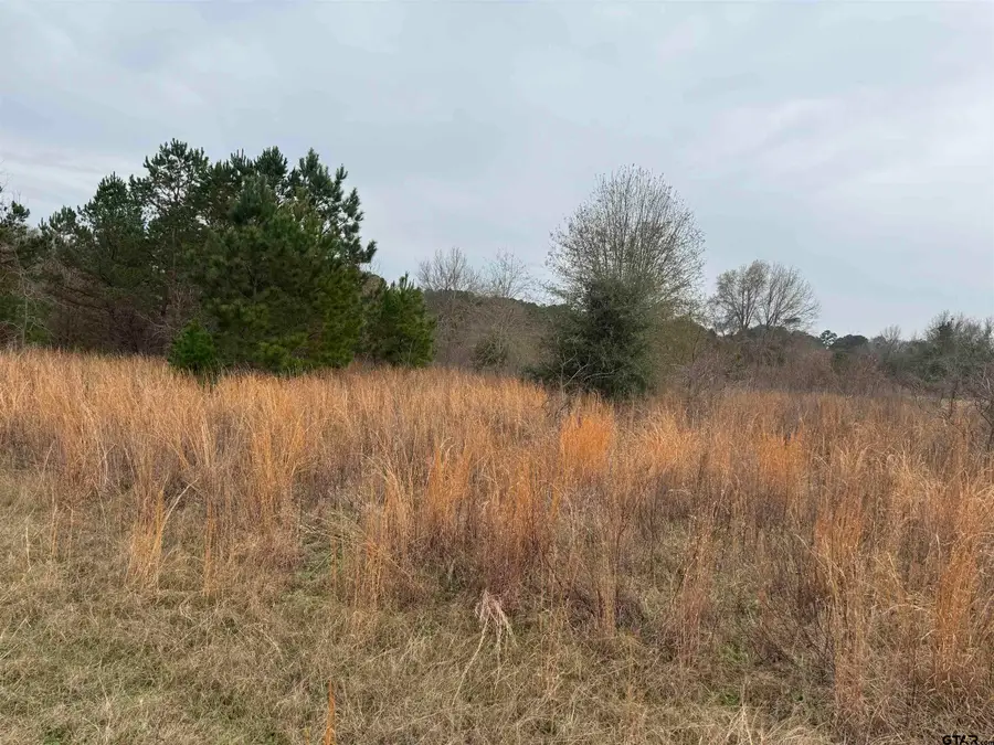 1335 San Saba, Bullard, TX 75757 - #3