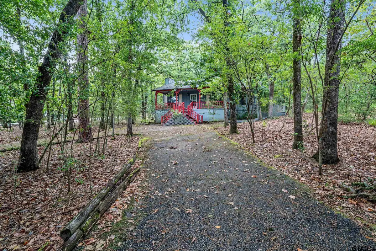 224 Blue Bird Ln, Holly Lake Ranch, TX 75765 - #1