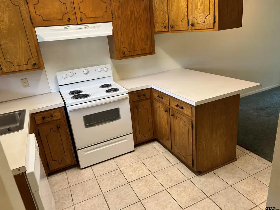 517 S Hill Avenue, Tyler, TX 75702 - #3