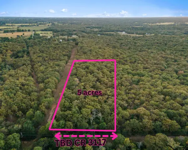 TBD County Road 3117, Edgewood,  75117