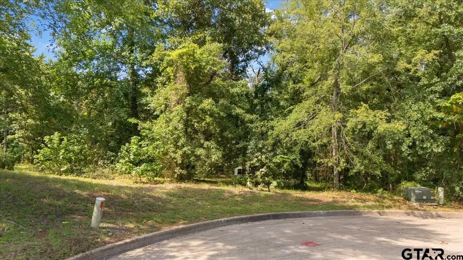 4856 Nicklaus Ct., Tyler, TX 75709 - #3