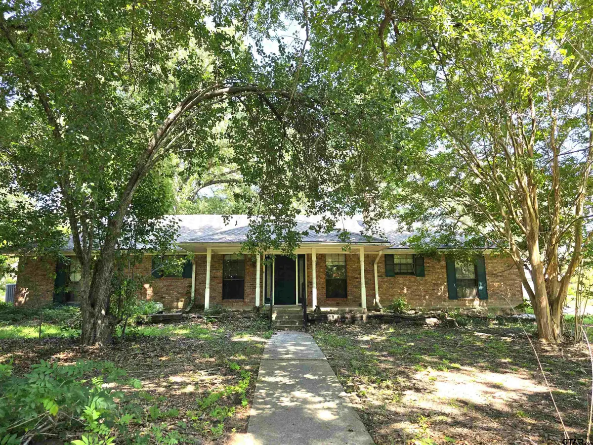 4221 Pine Wood Trail, Larue, TX 75770 - #1
