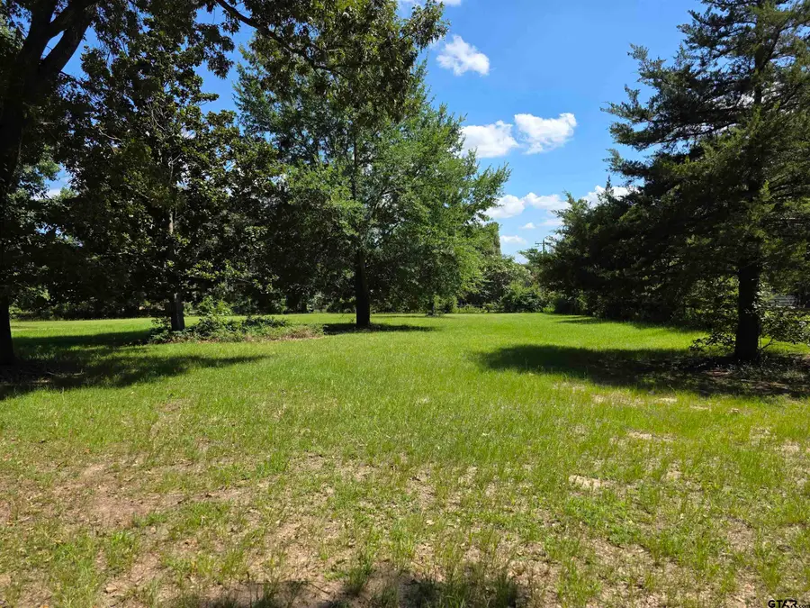 4221 Pine Wood Trail, Larue, TX 75770 - #2