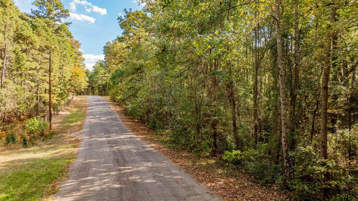 TBD Cr 4558, Winnsboro, TX 75494 - #1