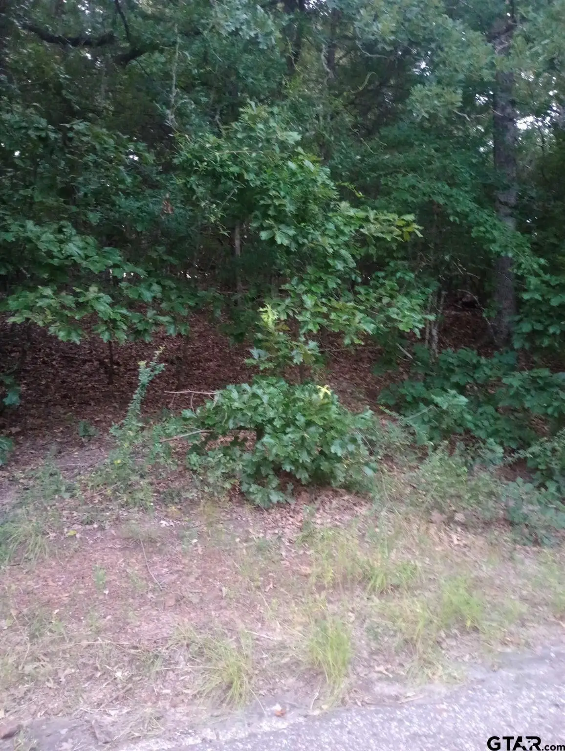 0000 Wildwood, Murchison, TX 75778 - #1