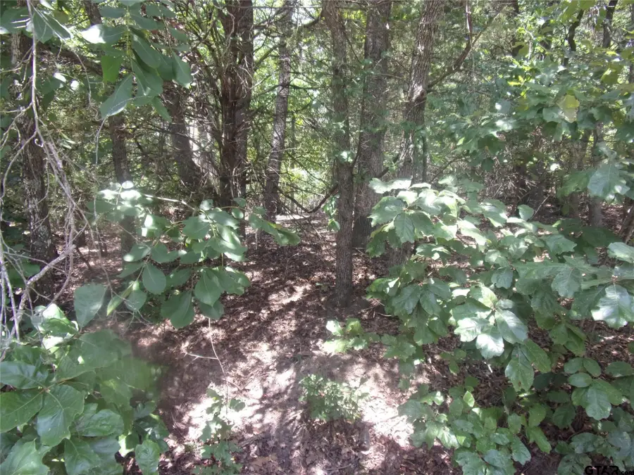 0000 Wildwood, Murchison, TX 75778 - #2
