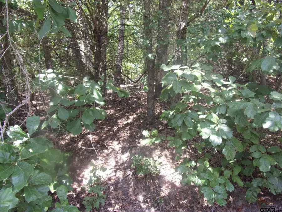 0000 Wildwood, Murchison, TX 75778 - #3