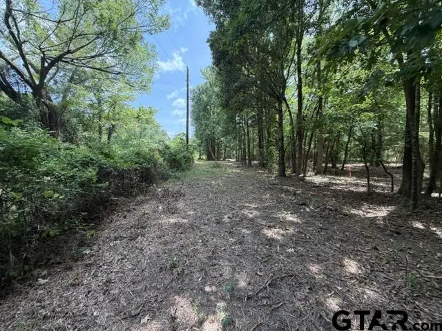 000D County Road 1204, Rusk, TX 75785 - #1