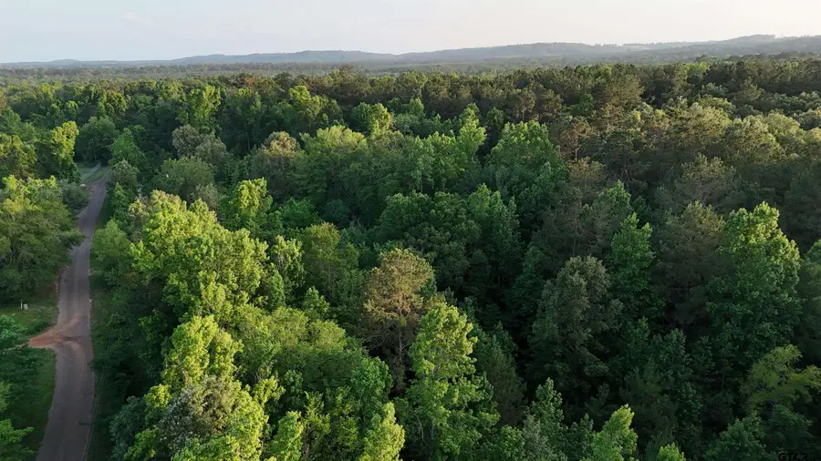 000D County Road 1204, Rusk, TX 75785 - #2