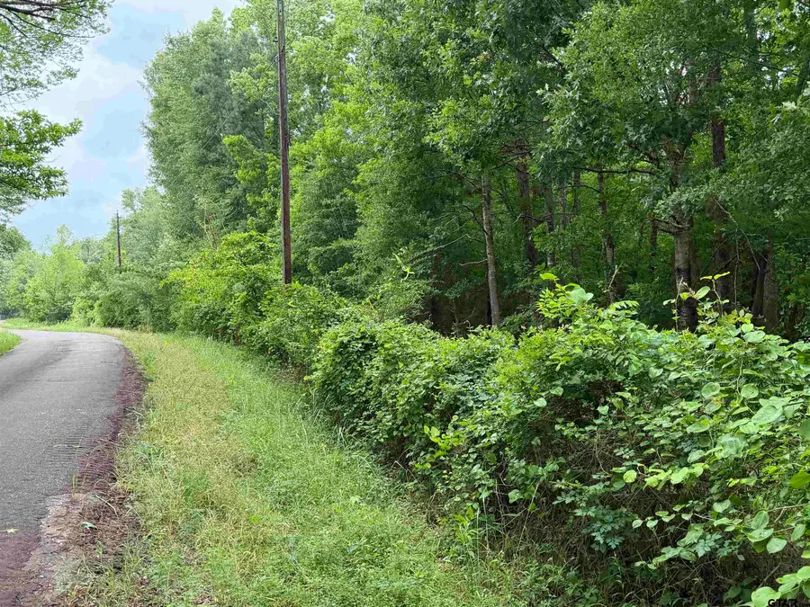 000D County Road 1204, Rusk, TX 75785 - #3