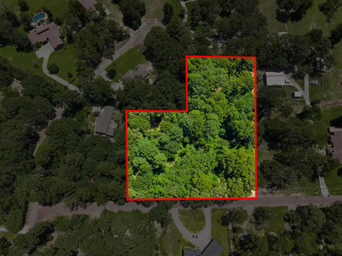 17837 Deer Trail, Flint, TX 75762 - #1