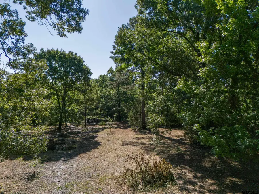 TBD Cr 1600, Alba, TX 75410 - #2