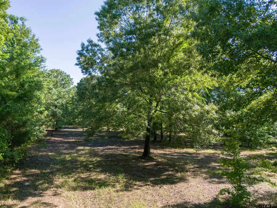 TBD Cr 1600, Alba, TX 75410 - #3
