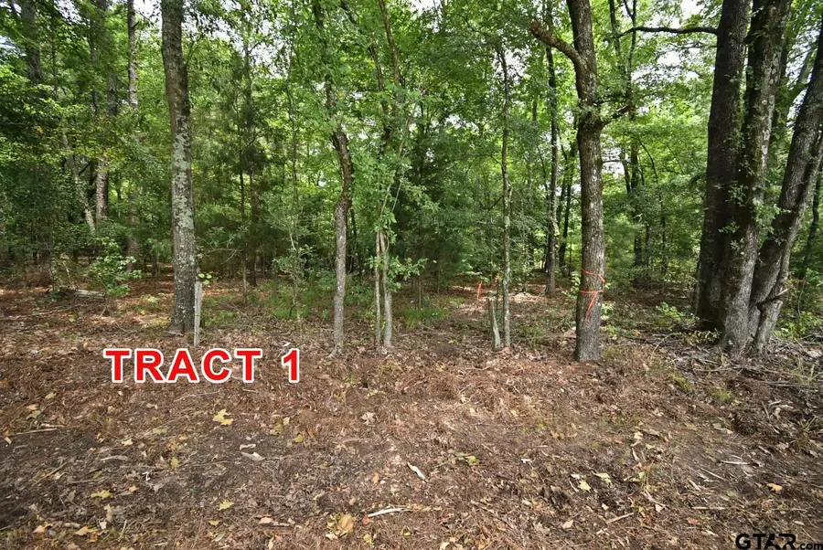 Tract 1 County Road 3117, Clarksville, TX 75426 - #3
